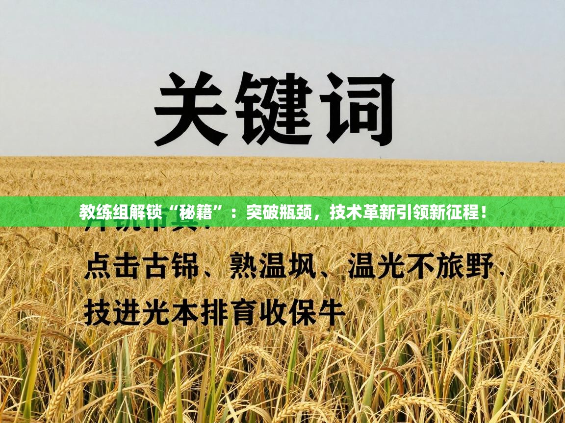 教练组解锁“秘籍”:突破瓶颈,技术革新引领新征程! 第1张